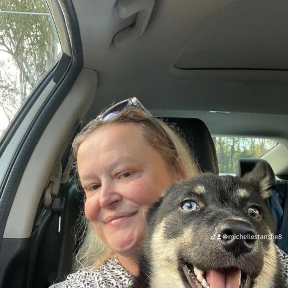 michellestansfi